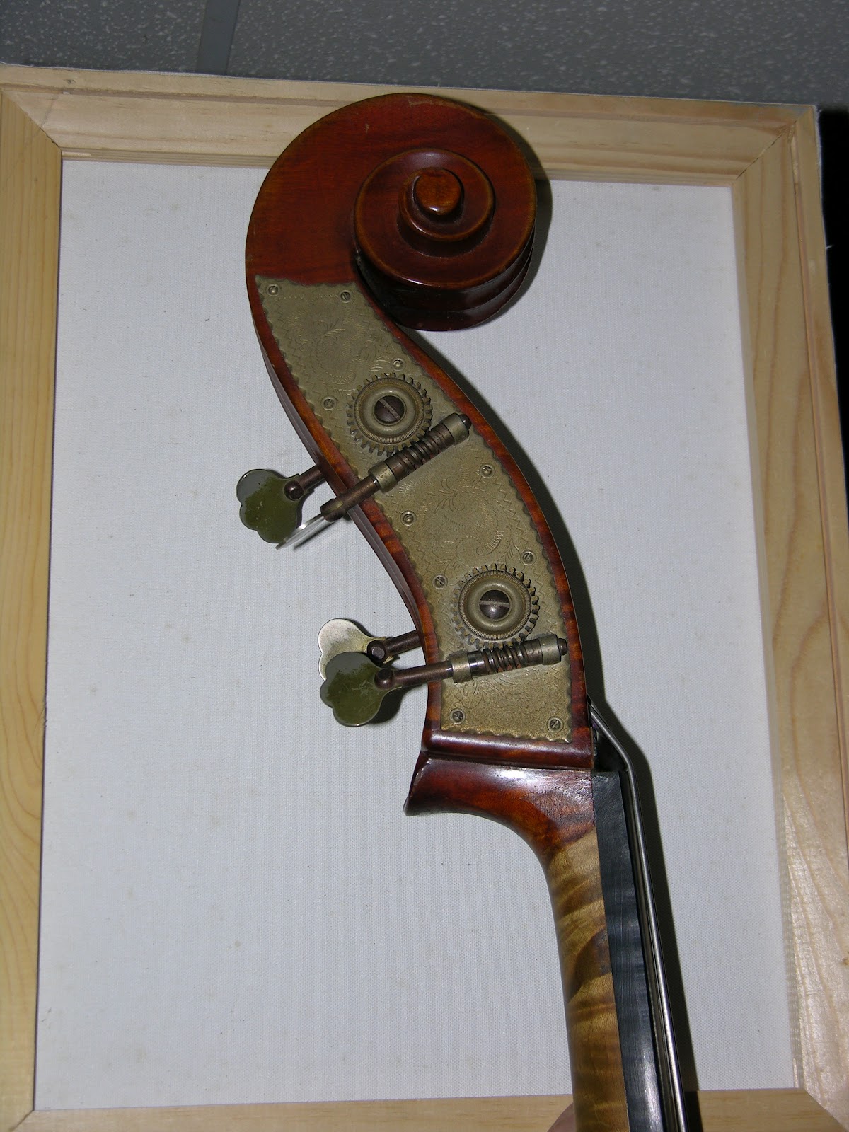 Riccardi's Violin and Bass Vintage & Used Double Basses