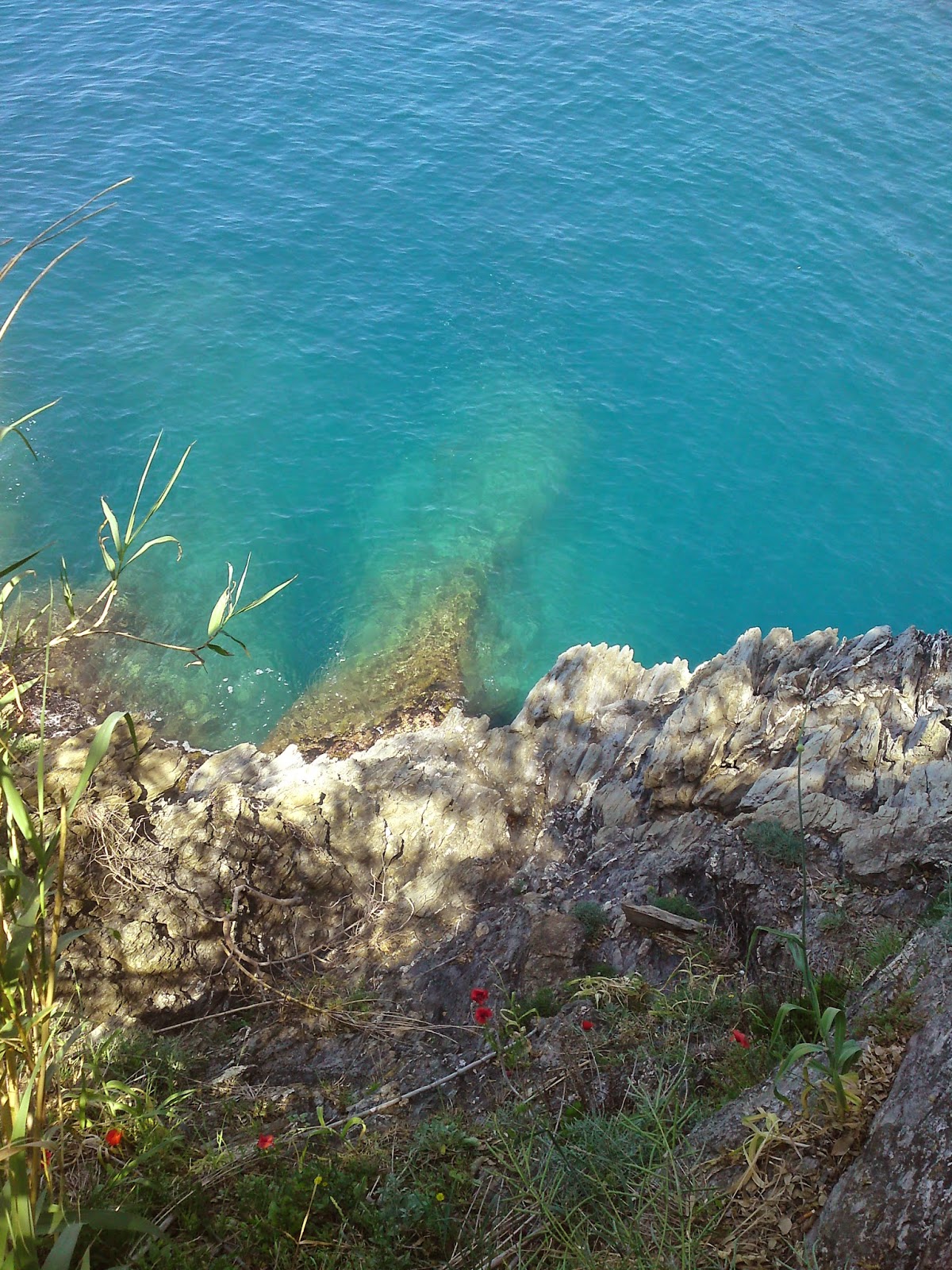 Vakantie, Cinque Terre, bloemenriviera, Ligurië, Italie: www.italiaansebloemenriviera.nl: No.1 bloemenriviera site! Bekijk het grootste (last minute) aanbod hotels, vakantiehuizen, b&b, agriturismo, appartementen, campings aan de bloemenriviera, Italië Vakantie, Cinque Terre, bloemenriviera, Ligurië, Italie: www.italiaansebloemenriviera.nl: No.1 bloemenriviera site! Bekijk het grootste (last minute) aanbod hotels, vakantiehuizen, b&b, agriturismo, appartementen, campings aan de bloemenriviera, Italië