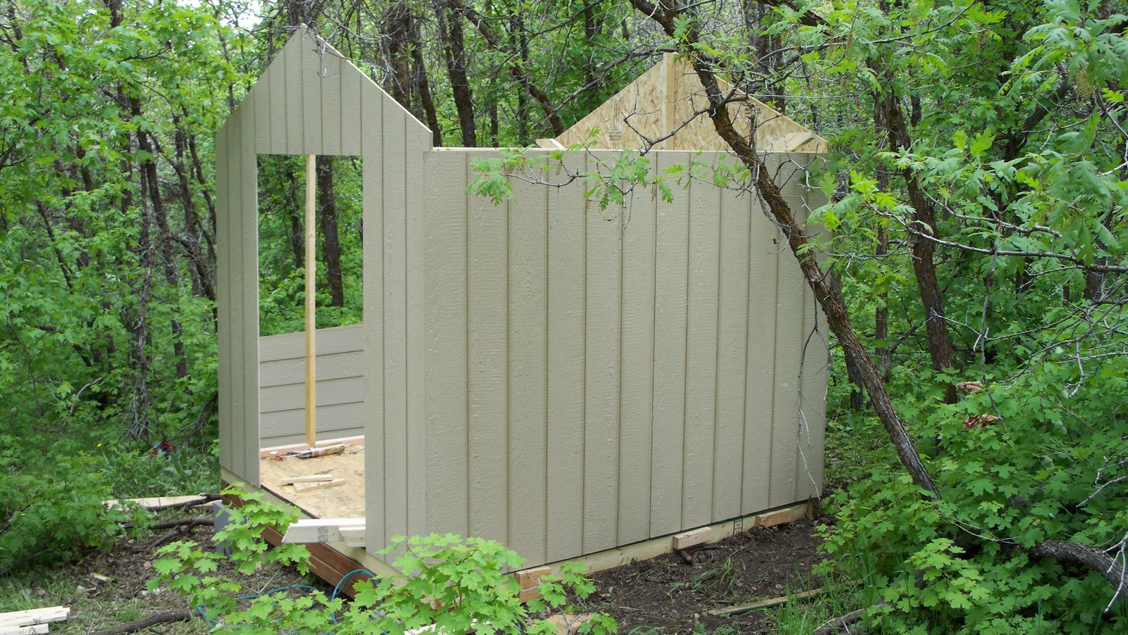 Chicken coop design and ideas on the cheap