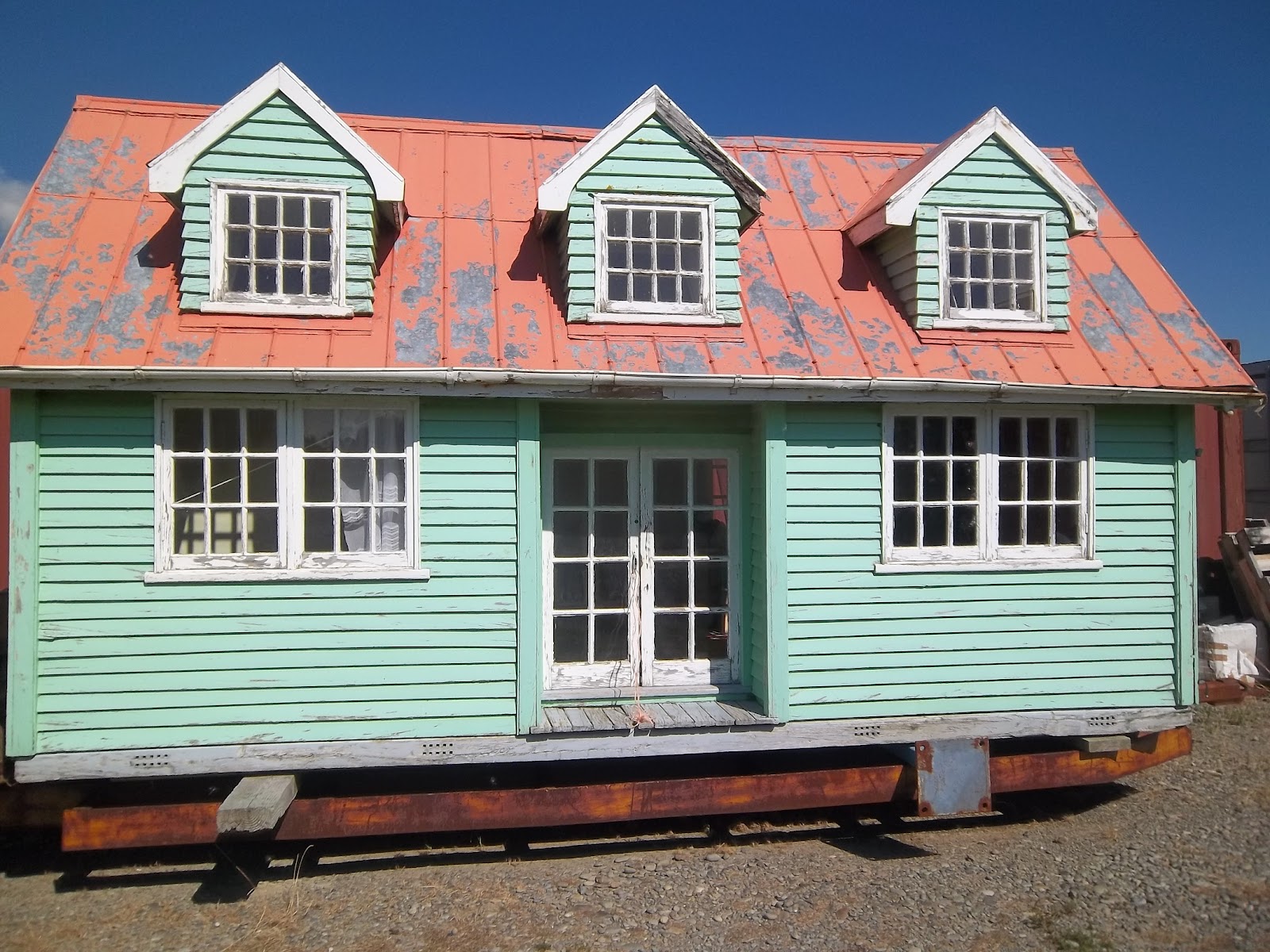 kiwibird Wallacetown