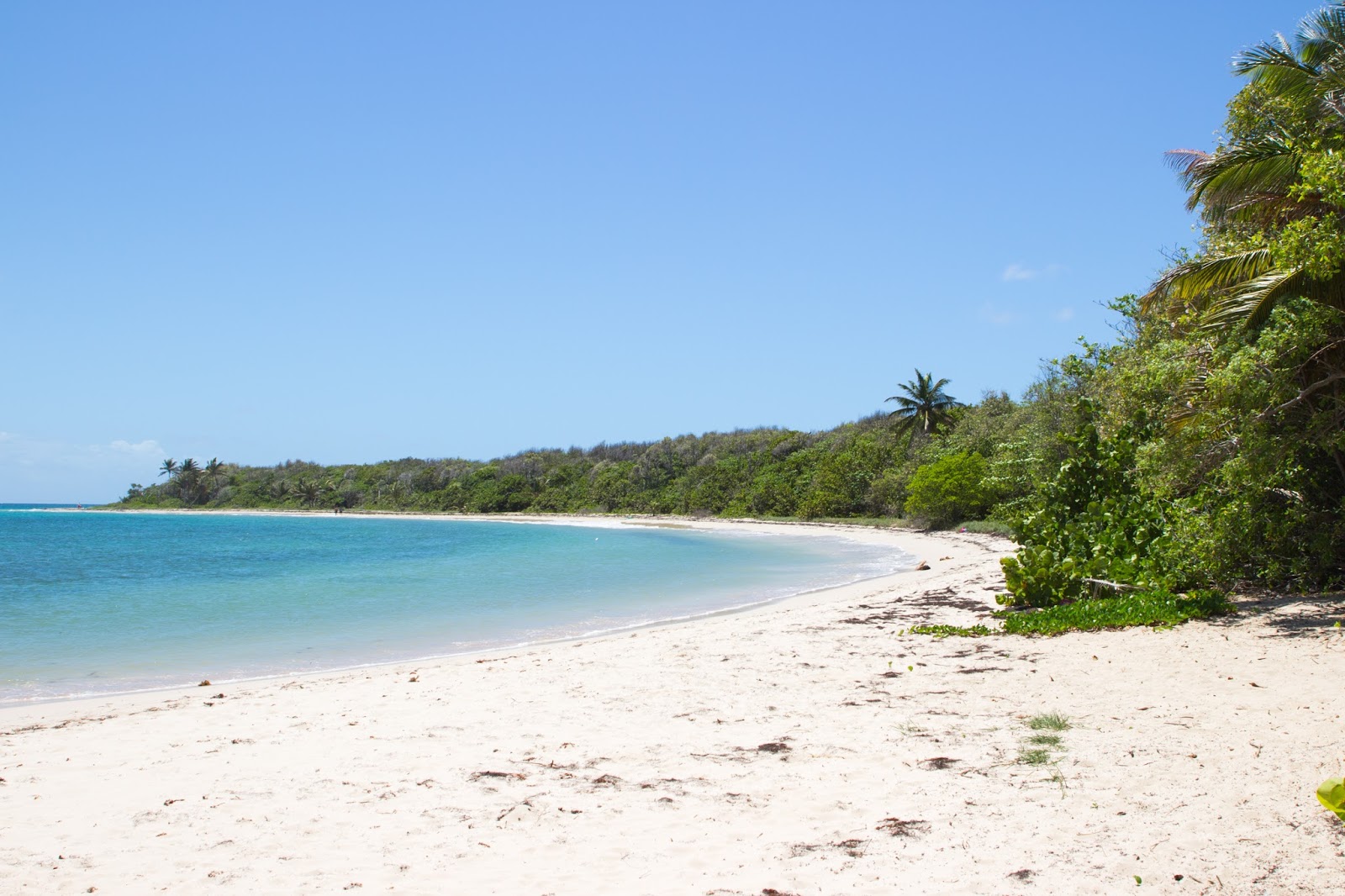 Sud Martinique plage Martinique