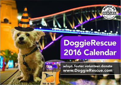Doggie-Rescue-2016-Calendar
