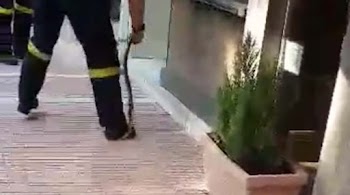 Τριχωτό γυμνό κανάλι