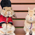 Kelinci Lucu, Paling Lucu Jika Sudah Dandan dan Pose Begini, Coba Lihat