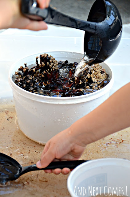 Scooping pinecones in a water sensory bin