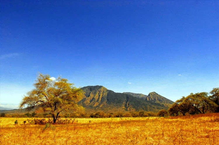 Foto Taman Nasional Baluran Foto Taman Nasional Baluran
