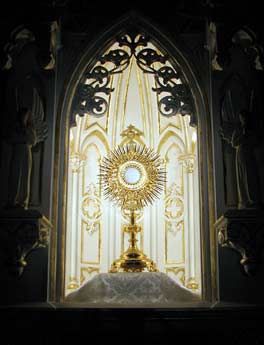 HEALING GRACE: WHAT IS EUCHARISTIC ADORATION?