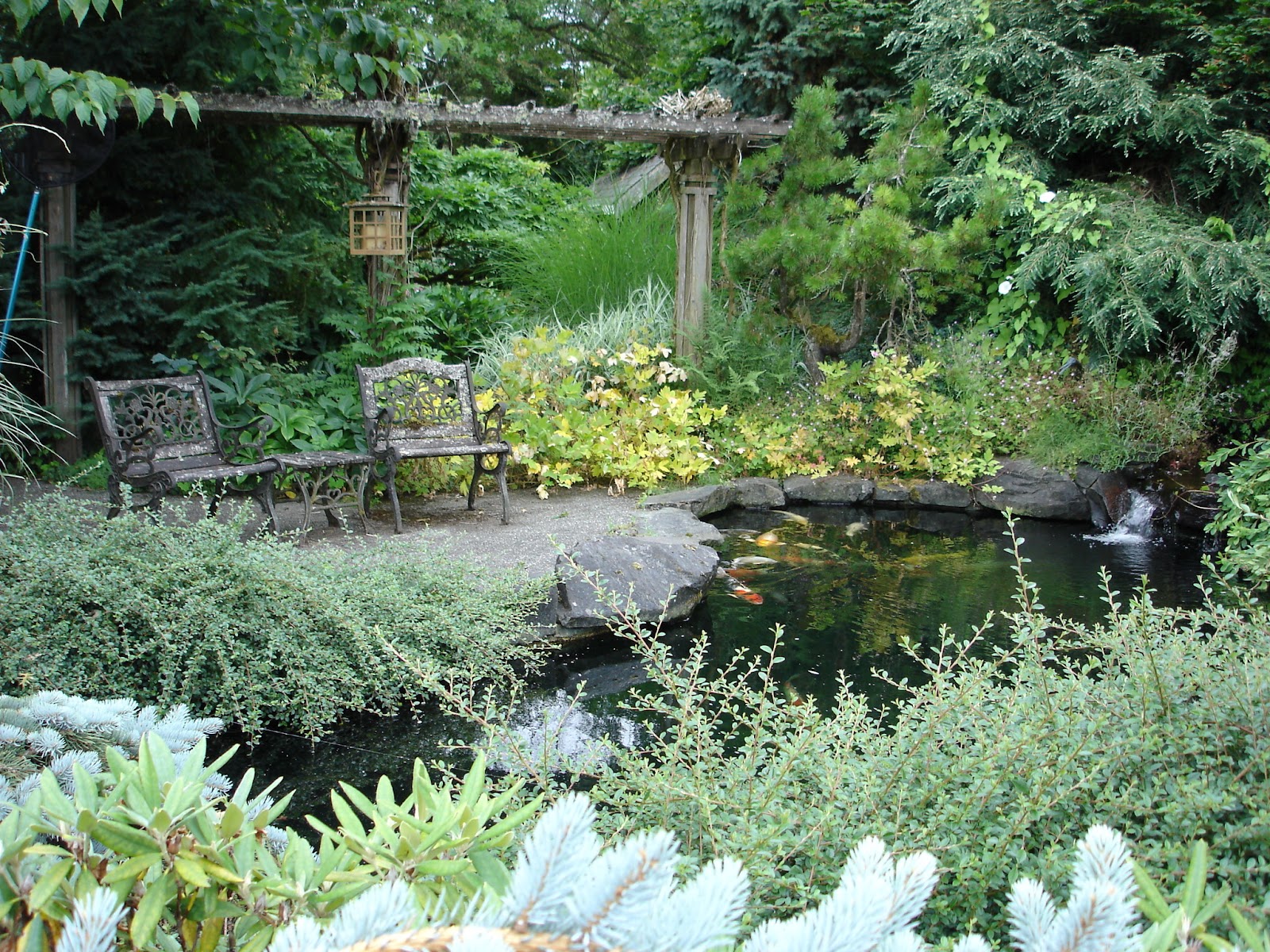 The Outlaw Gardener Vassey Nursery A family affair