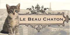 Visit Le Beau Chaton on Etsy