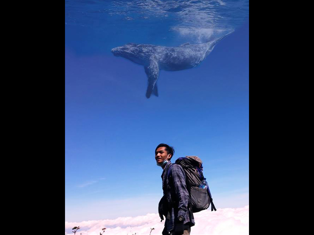 Cara Edit Foto Ikan Paus di Langit Menggunakan Android ...