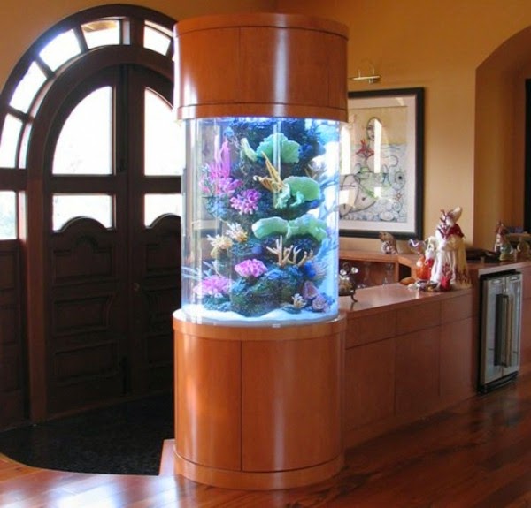 Use aquarium as a room divider &#8211; 26 examples.