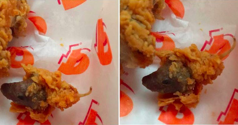Woman Found A Fried Rat Head In Her Fast Food And The Pics Will Make You Qu...