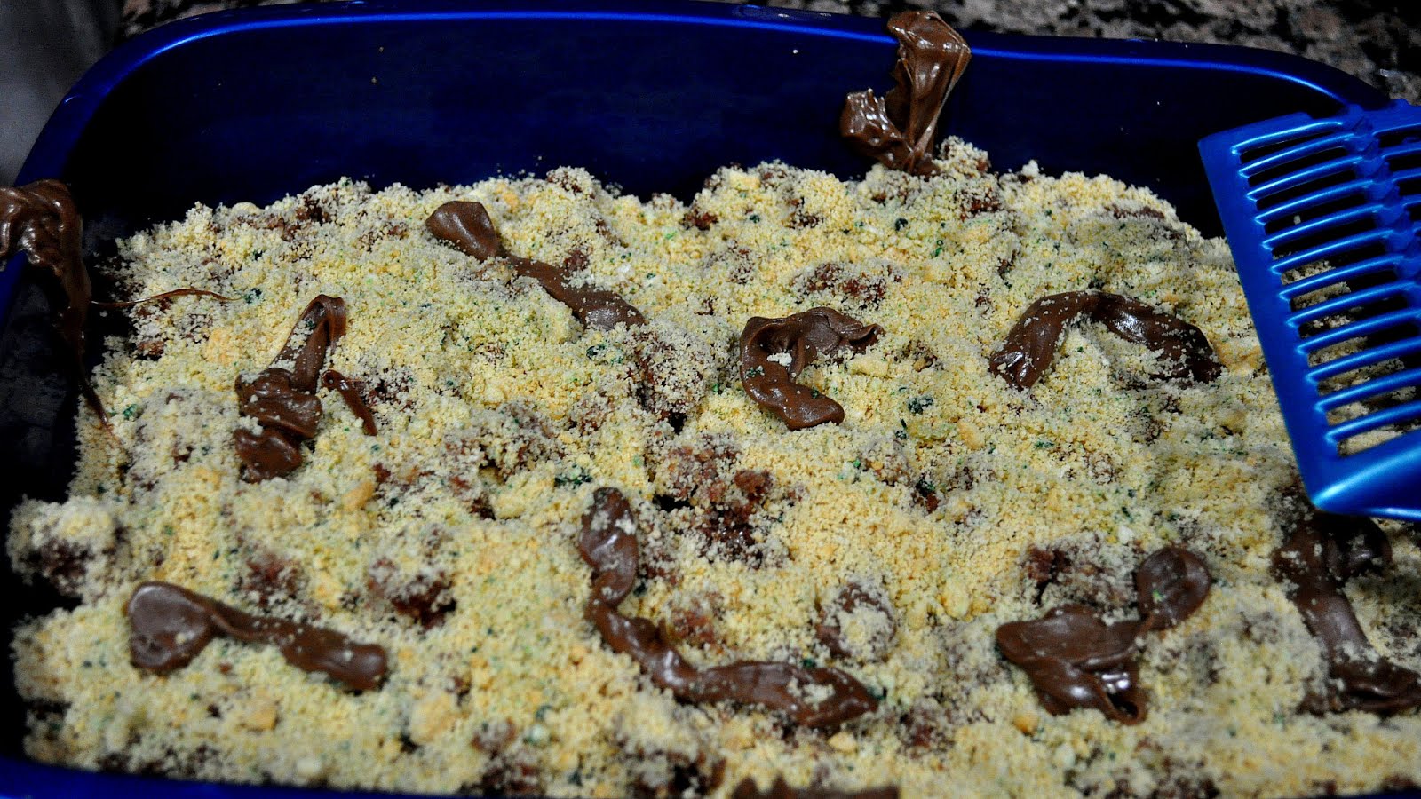 Box Litter Box Cake Box Choices