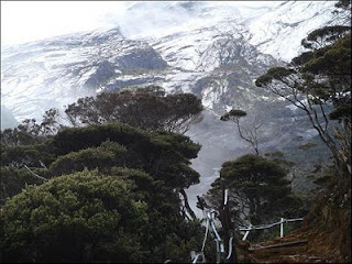 on the way to the top of Kinabalu mountain