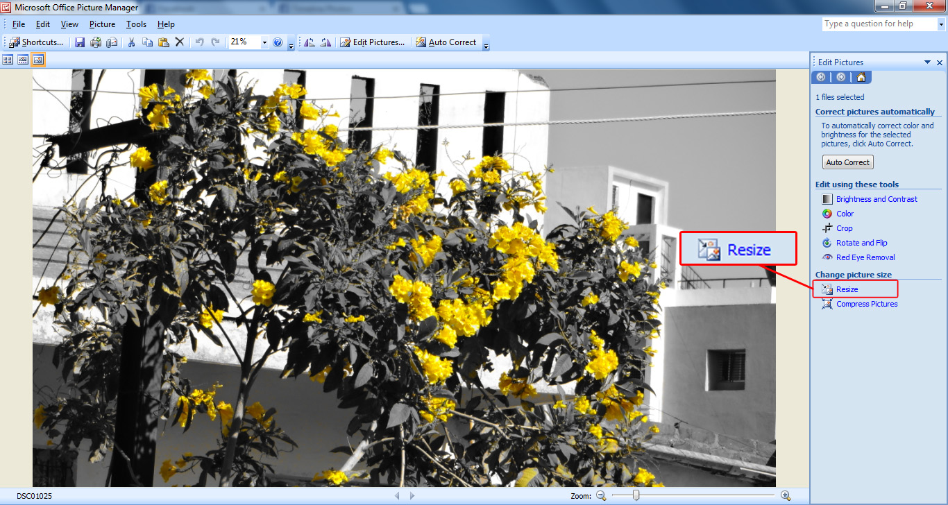 creatives zone How to reduce size of your digital images?