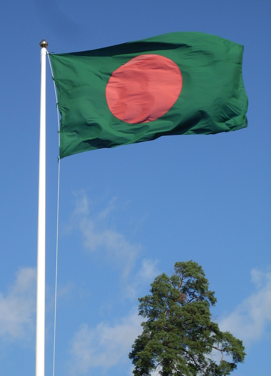 http://4.bp.blogspot.com/-VWb4UH7G9rU/T_tFPl7CFLI/AAAAAAAAAEc/jjZ6bbCgShI/s1600/Flag_of_Bangladesh_and_tree.jpg