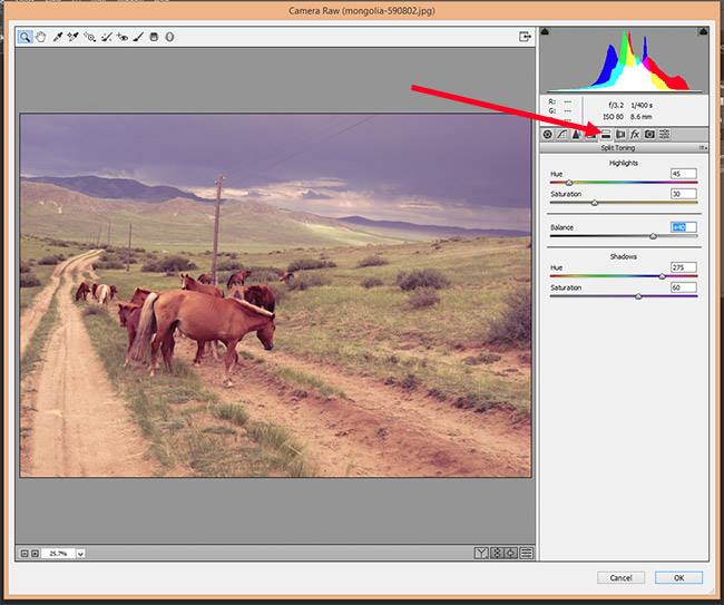 How to Use Camera Raw Filters in Clipping Path Lab
