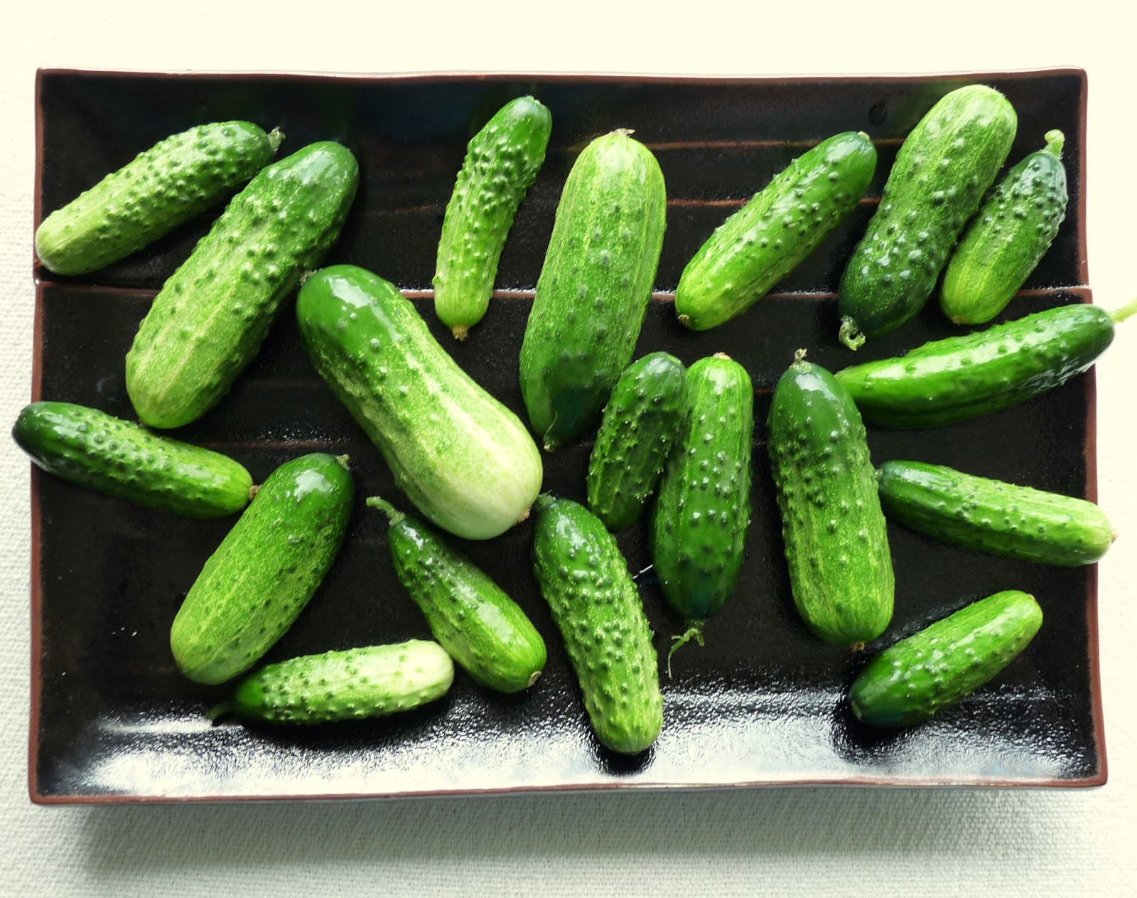 Seasonal Ontario Food: Sumter Pickling Cucumber