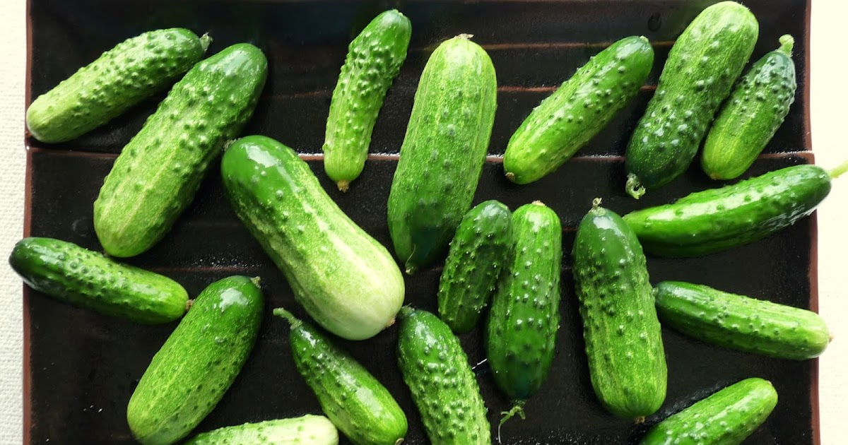 Seasonal Ontario Food: Sumter Pickling Cucumber