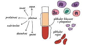 Componentes de la sangre