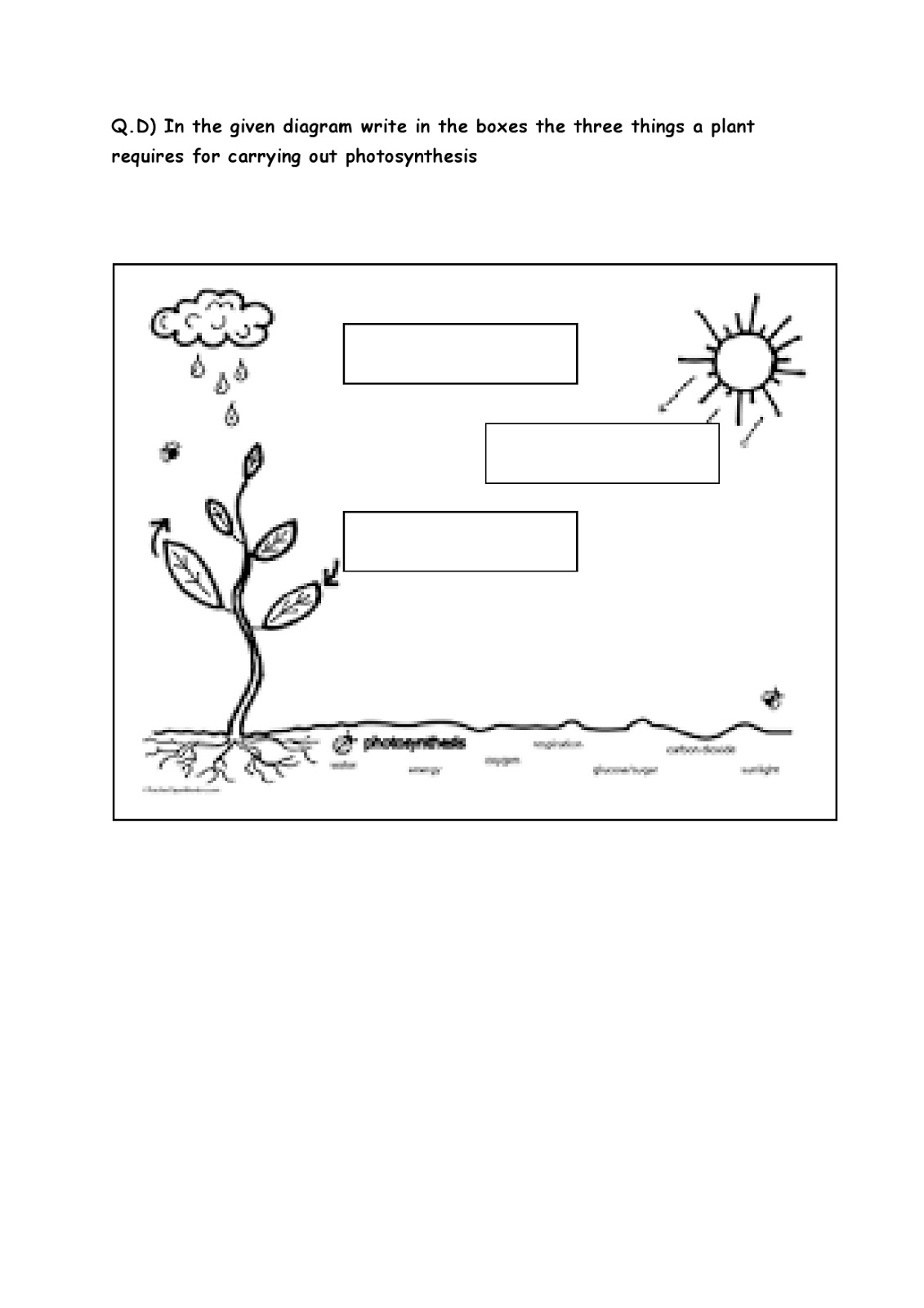 Birla World School Oman: Homework for Grade 3 as on 11-04-2019
