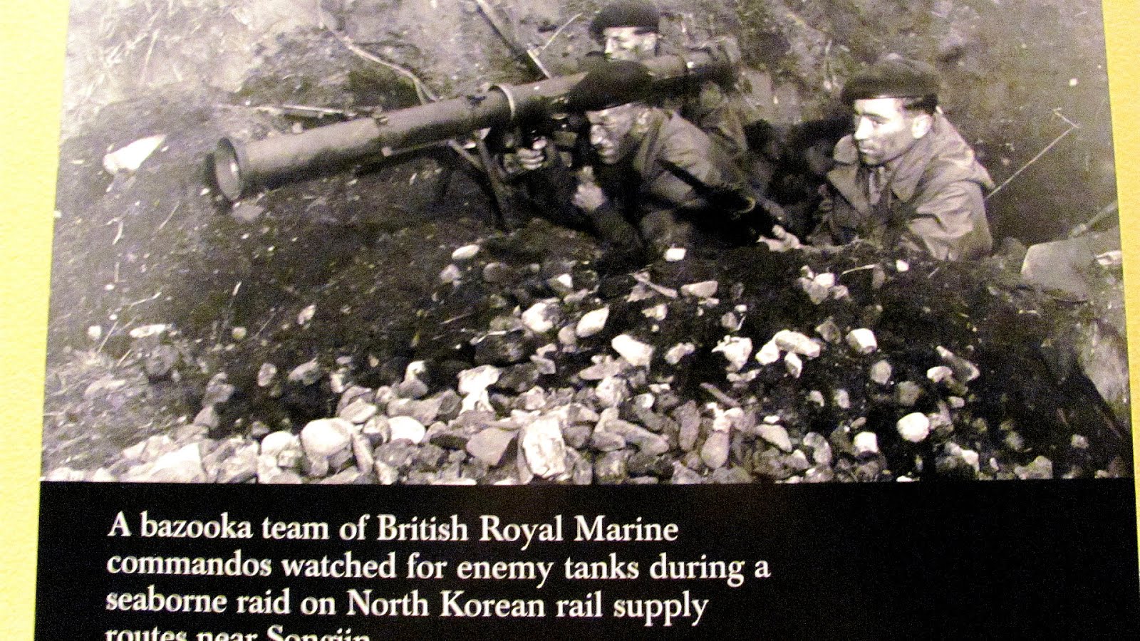 When Was The Marine Corps Established Marine Choices