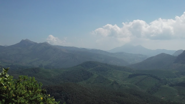 kannan devan hills in idduki district, munnar, kerala, india