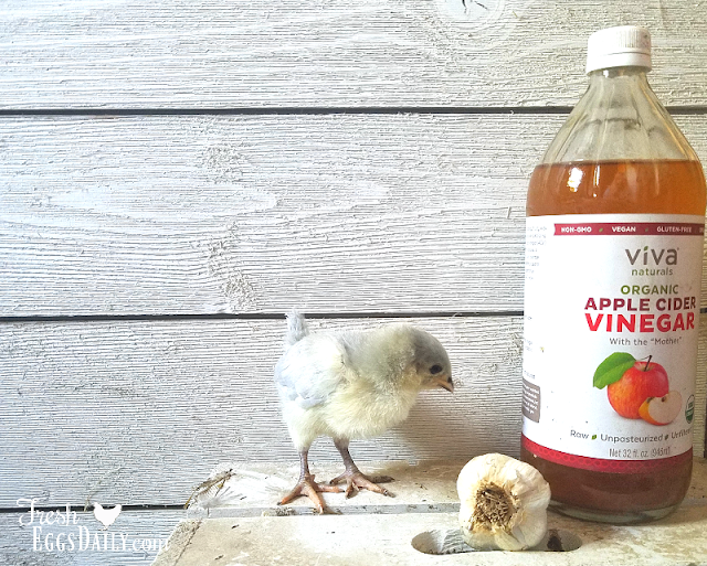 The Holistic Trinity Apple Cider Vinegar, Garlic and Diatomaceous