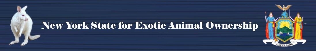 New York State for Exotic Animal Ownership