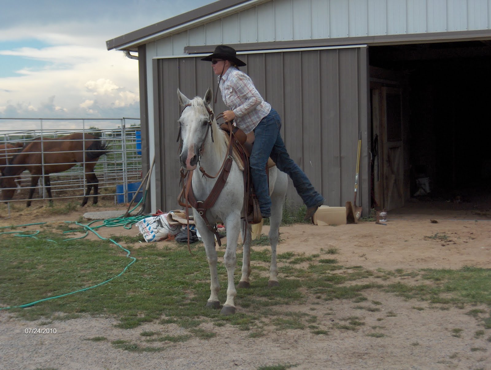Dismount Horse