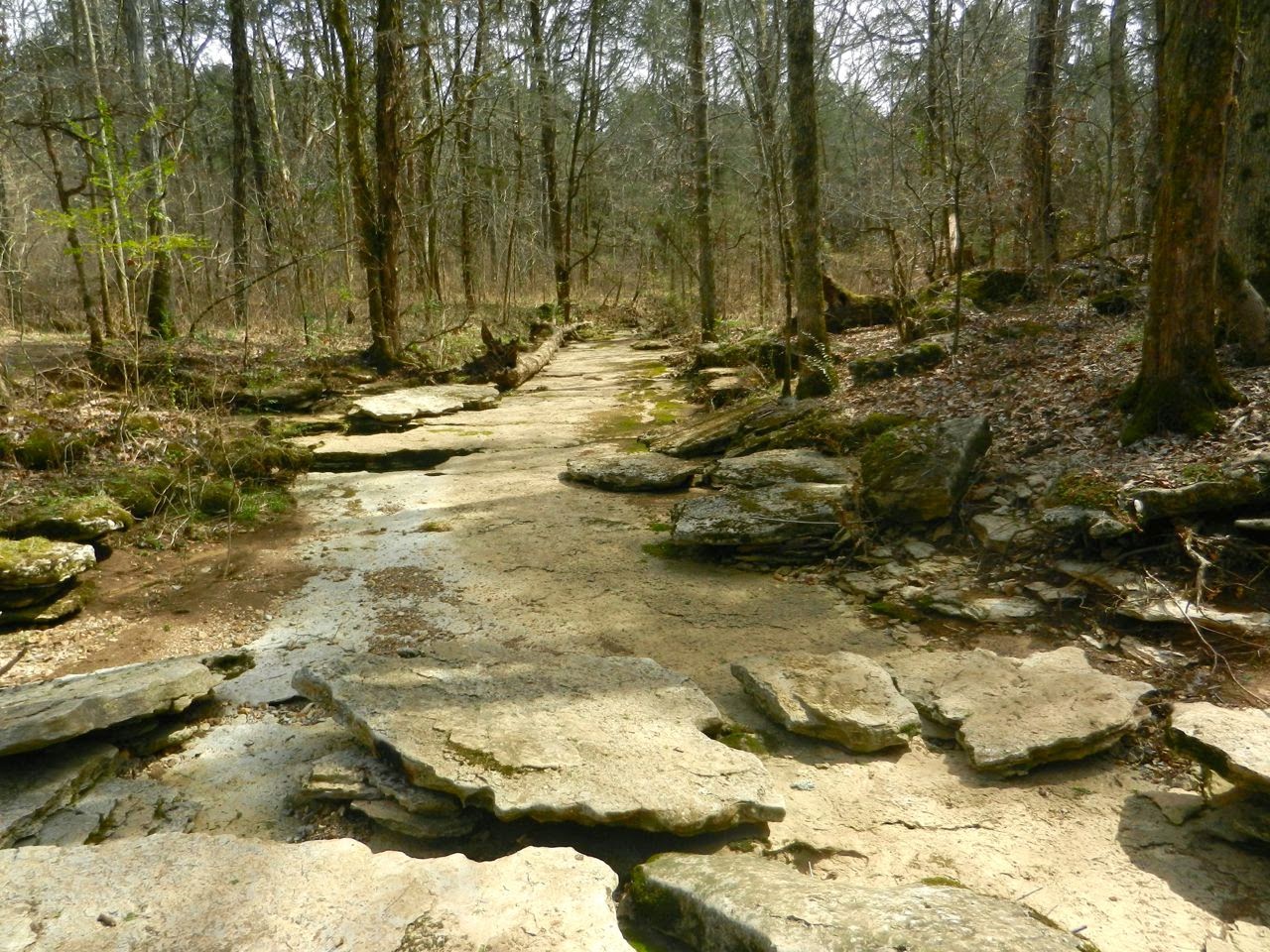 SmallWorld Cedars of Lebanon State Park