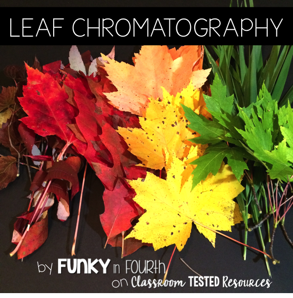Leaf Chromatography Classroom Tested Resources