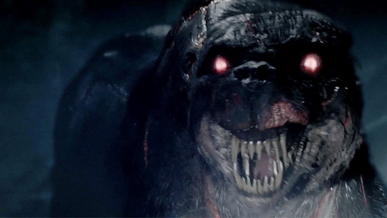 Foto do cachorro das trevas Clearance