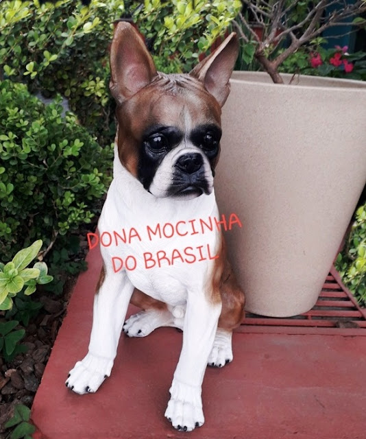 CACHORRO BOSTON TERRIER DE RESINA