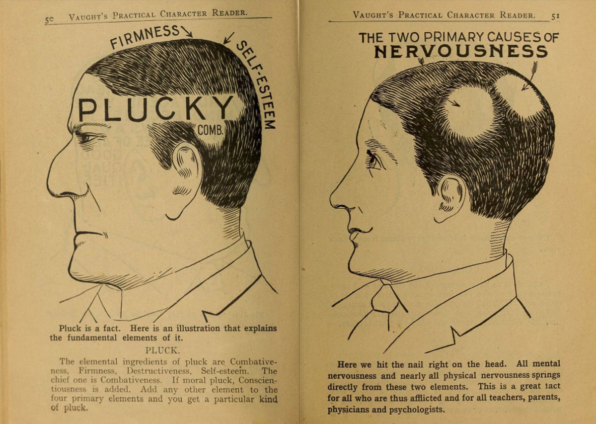 Pages from a weird phrenology book that claimed to ascertain a person s character by the shape of his head and other facial features  1902 - 34