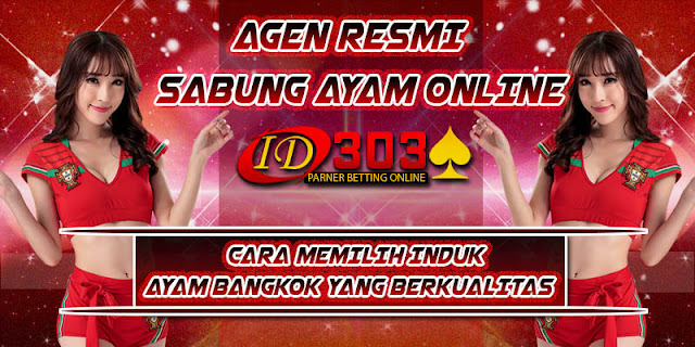 CARA MEMILIH INDUK AYAM BANGKOK YANG BERKUALITAS ayambangkok asli, ciri sisik pukul mati, adu ayam birma, download video sabung bangkok, bangkok super jalu, jalu super jahat, bentuk jalu mematikan, video jago tarung lengkap, video sabung bangkok, tarung bangkok pukul mati, bangkok super purwokerto, video tarung bebas sampai mati, adu jago birma, adu jago bangkok super, ayamlaga pukul mati 2014, mantra adu jago, bangkok aduan super, tarung jago birma, birma super jalu, blorok madu pukul mati, adu jago sampai mati, adu jago bangkok pukul mati, video adu jago, pakhoy ori, jalu renteng 3, cara meruncingkan jalu, pakoy top the best, adu ayam filipina, video ayam bertarung sampai mati, bangkok super cup 2015, adu ayam 2016, adu ayam bangkok super jalu, adu ayam betet, adu ayam bangkok di thailand, adu ayam bangkok terbaru, adu ayam bangkok youtube, adu ayam jago sampai mati, adu ayam laga, adu ayam sabung, adu ayam siam, adu ayam bangkok pukul ko, adu ayam sadis, adu ayam 5, adu ayam bali indonesia, adu ayam bangkok asli thailand, adu ayam bangkok ko, adu ayam bangkok muda, adu ayam bangkok terbaru 2015, adu ayam jawa