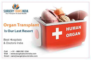 Organ Transplant  India