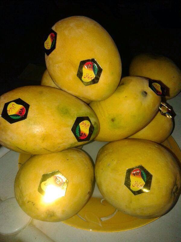 Fresh Mango Export from Pakistan