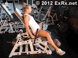 Lever Seated Hip Adduction (plate loaded)
