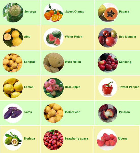 Juwita Blog Fruits Tropical fruit list