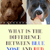 What is the Difference Between Blue Nose and Red Nose Pit Bulls?