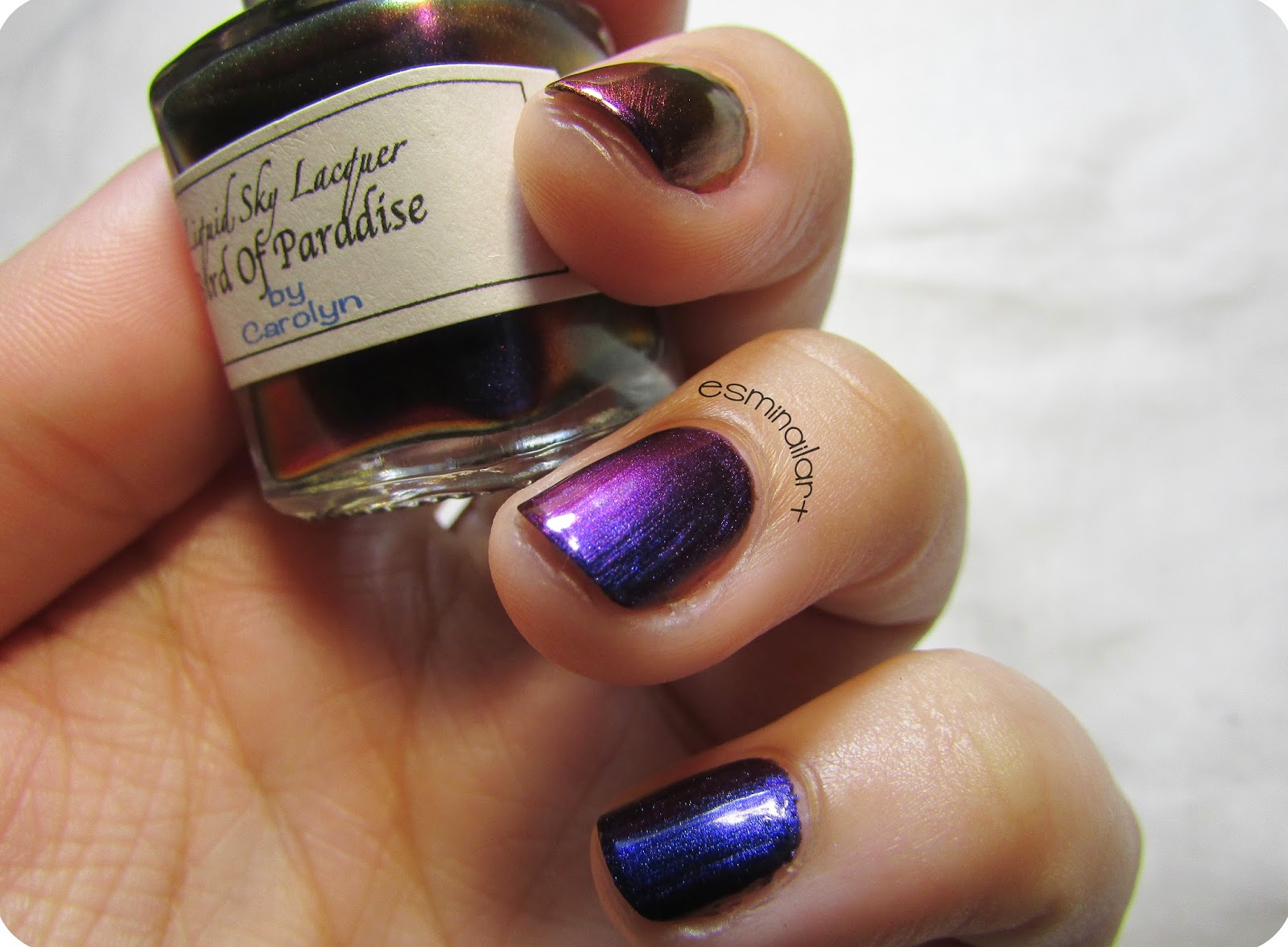 Mi nail art!: Bird of Paradise | Liquid Sky Lacquer