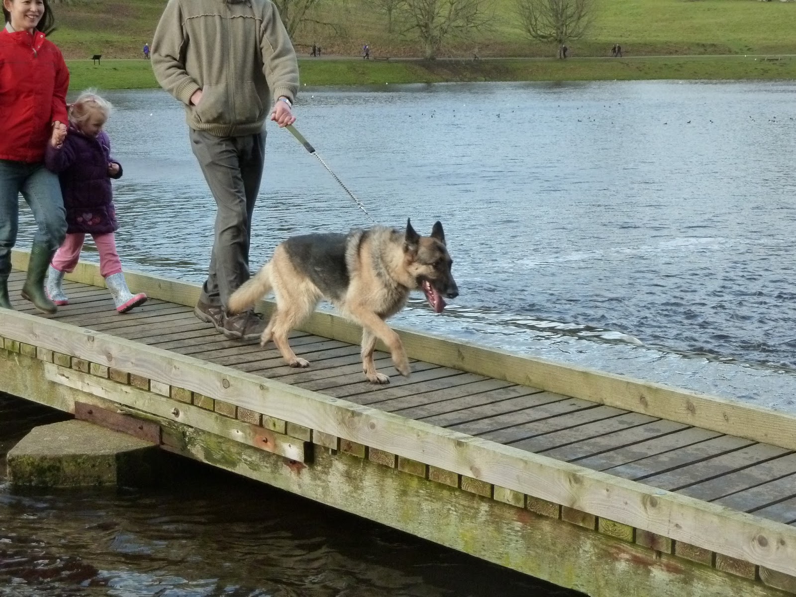 The Rainforest Fund Project Fountains Abbey Pilgrimage Fungi
