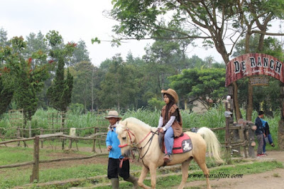 http://www.nurulfitri.com/2017/04/4-tempat-wisata-favorit-di-Bandung.html