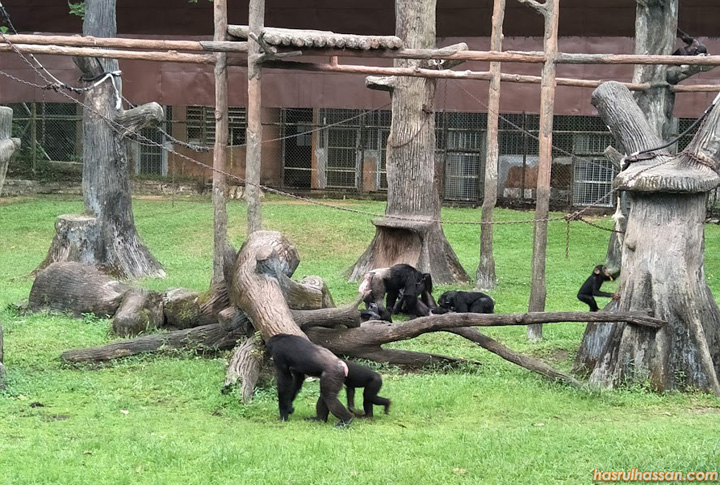 Lawat Zoo Taiping Harga Tiket Terkini