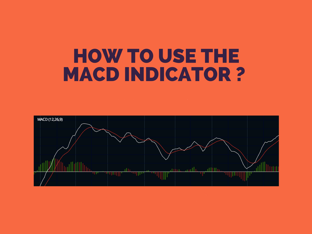 How To Use MACD Indicator ? The Trading Wolf