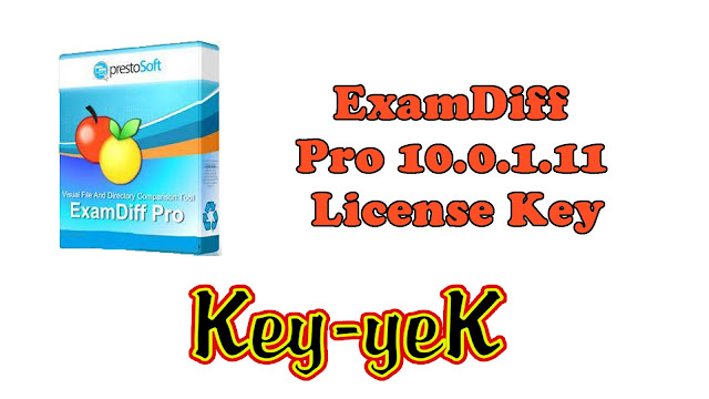 examdiff pro key download examdiff pro key download