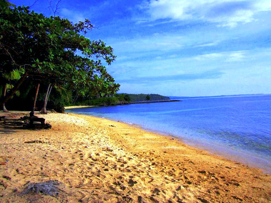 Argao Beach Club The Wandering Dj Argao Beach Club