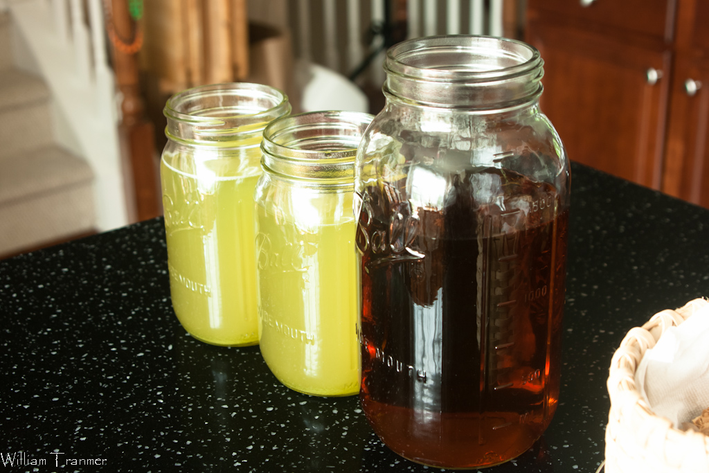 A Dose of Frosting.. Kombucha It’s spring and it’s growing, let’s