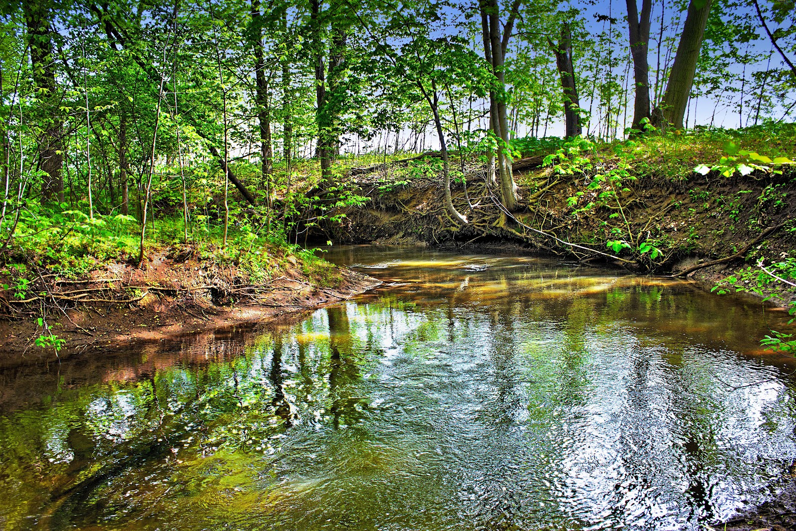 One Poet's Notes Photo Friday "Crooked Creek"